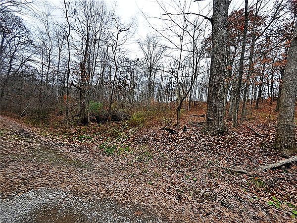 2nd image of 10219 Stickle Rd