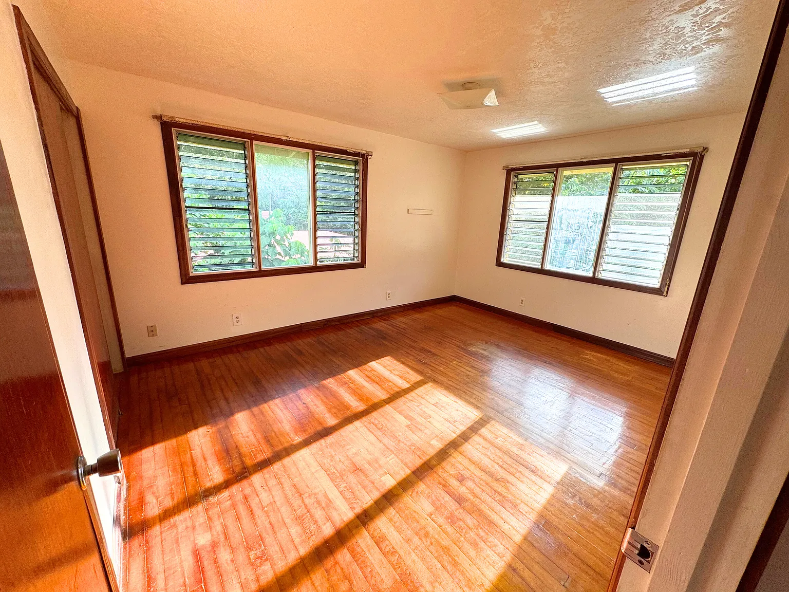 1 bed, $950 — Photo 1