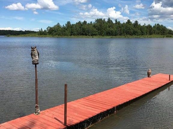 2nd image of 33530 W Birch Shores Dr
