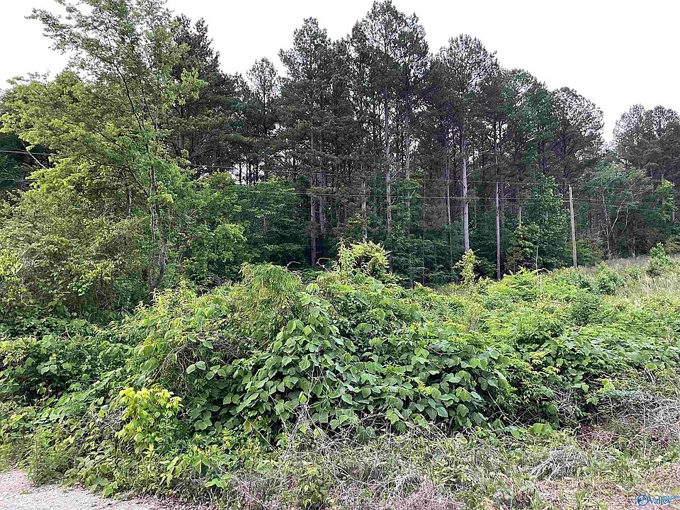 1st image of County Road 189