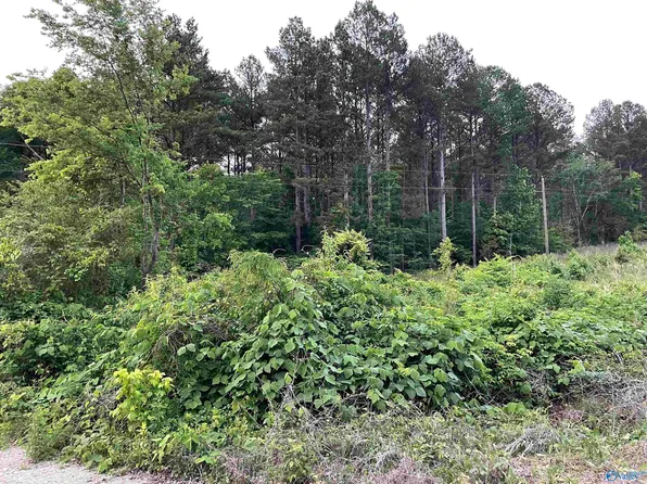 County Road 189, Moulton, AL 35650