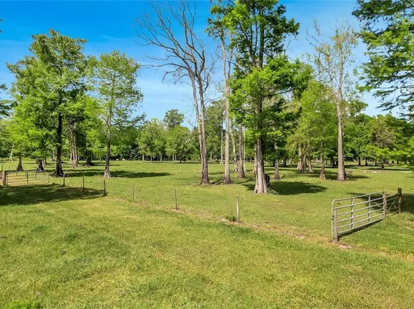 Corkwood Ln, Astatula, FL 34705