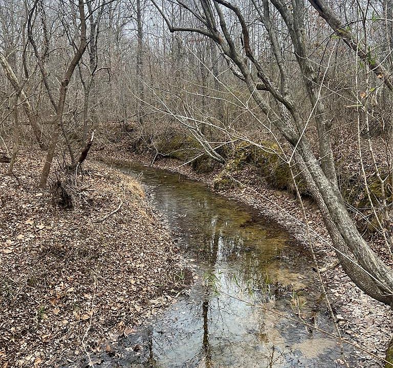 1st image of Highway T Forest Rd #3697
