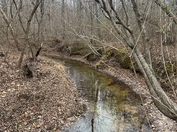 Highway T Forest Rd #3697, Poplar Bluff, MO 63901