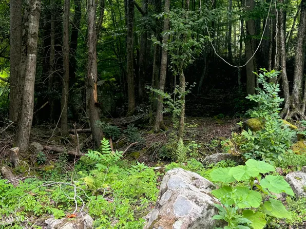 Stocton Rd, Roan Mountain, TN 37687