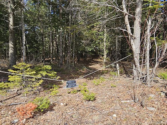 5th image of 31, 31-1 Weymouth Road