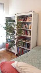 Rented by Jeffrey Mosczyc, LREB