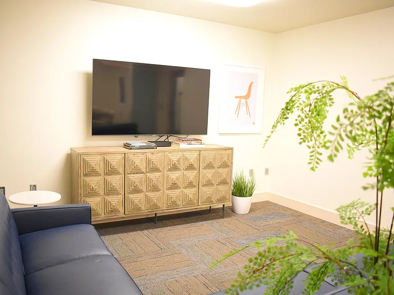 Media Room, Theater Seating with TV