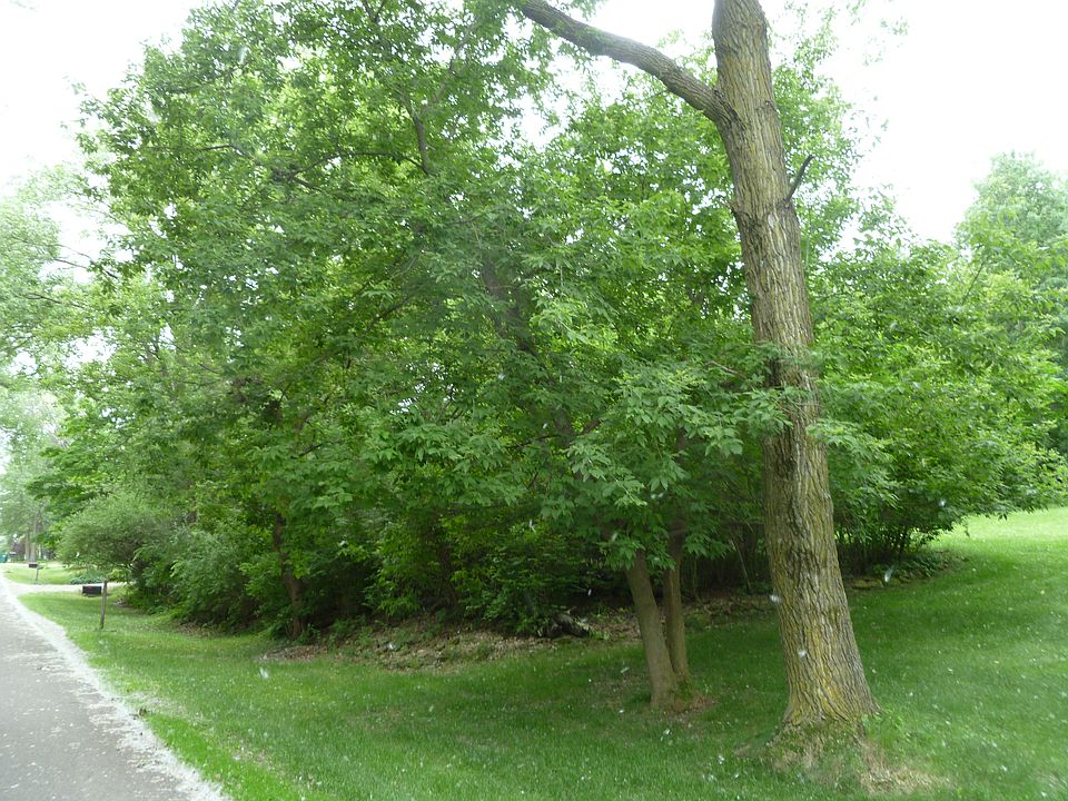 2nd image of Brugger Place