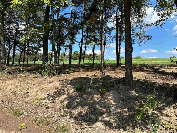 5 County Road 409d, Henderson, TX 75654