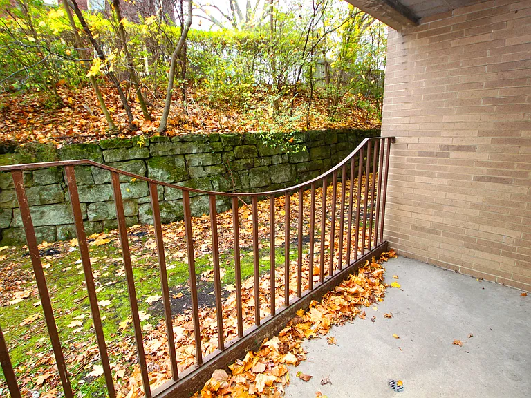 Patio View