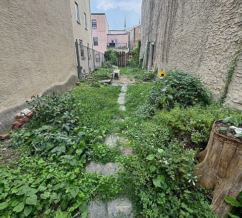 5th image of 1120 Mount Vernon St #1