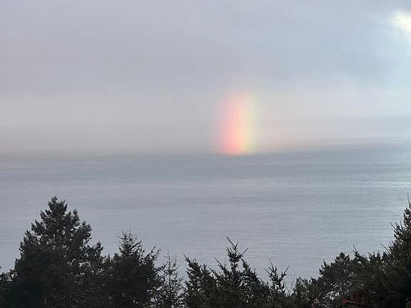 3rd image of 336 Nob Hill Rd