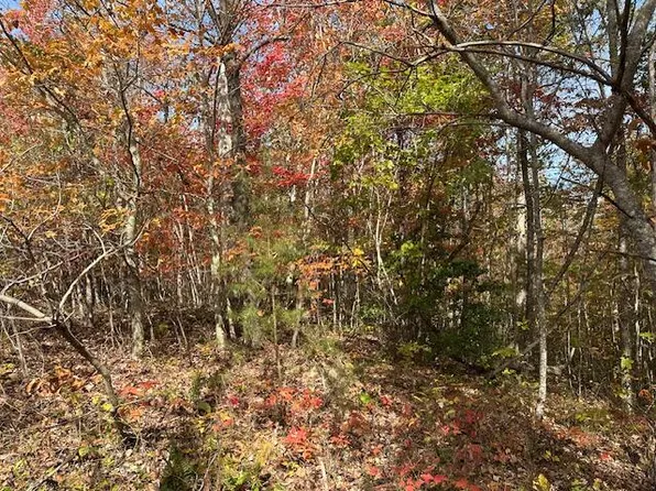 60268 Red Rock Ln, Crawford, TN 38554