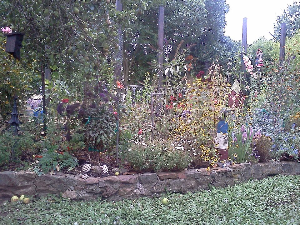 one flower bed in summer 