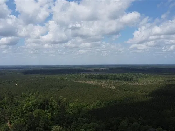 26331 S Satsuma Rd, Livingston, LA 70754