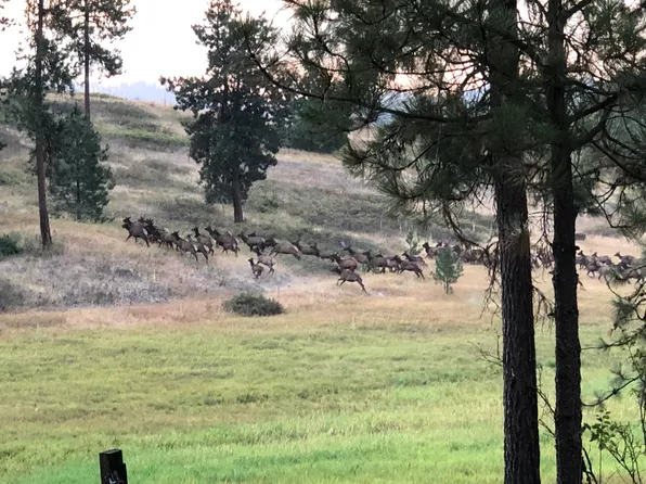 0 Us Hwy #395, Valley, WA 99181