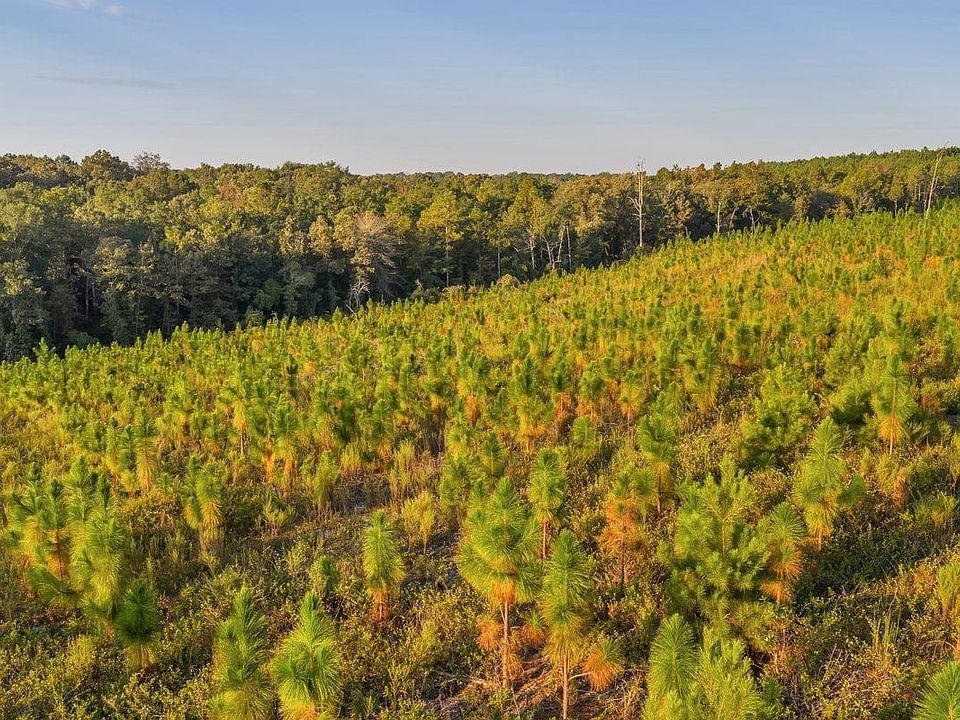 Dji 20250916082941 0023 D Macon