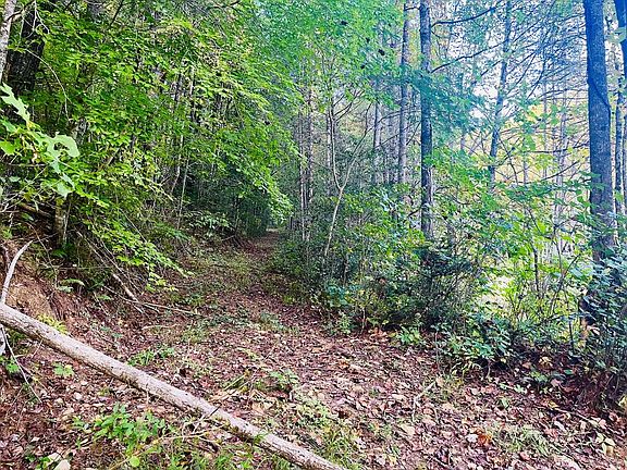 3rd image of 1798 Flea Mountain Rd