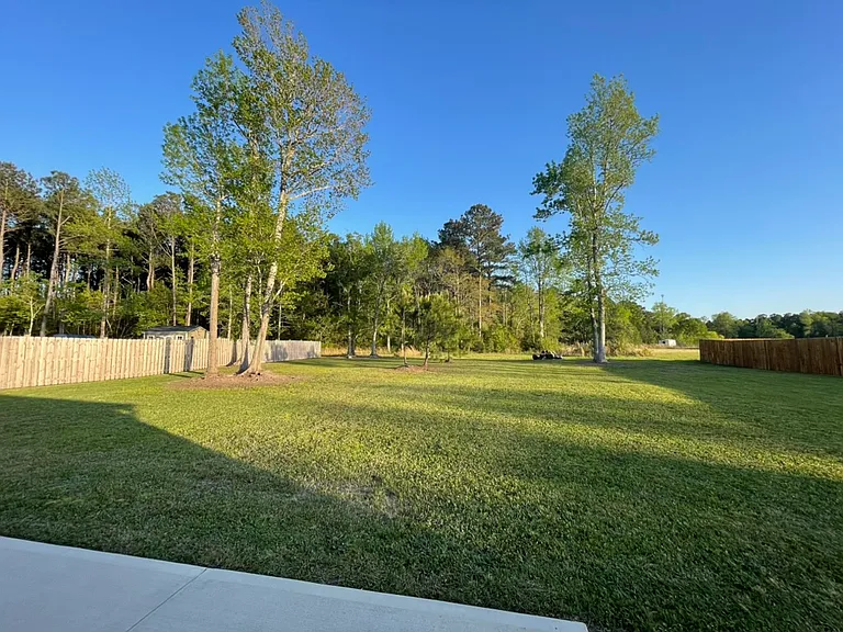 More of the backyard