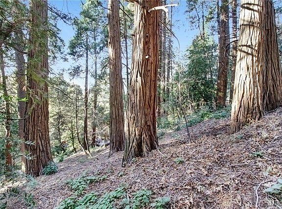 4th image of 2661 Scenic Dr