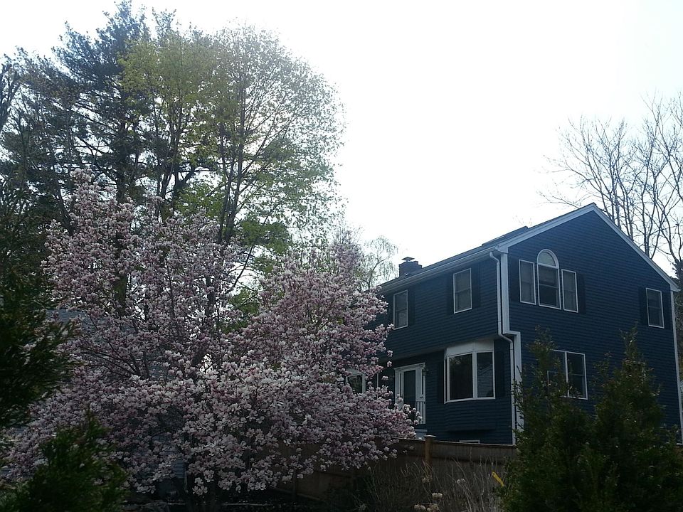 House from driveway
