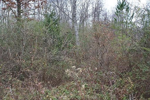 2nd image of 230 Highway
