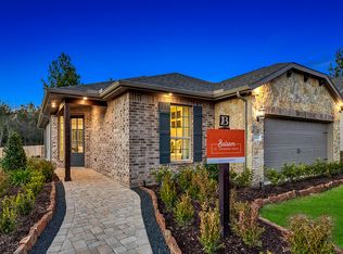 625 N Dayflower Dr, Montgomery, TX 77316