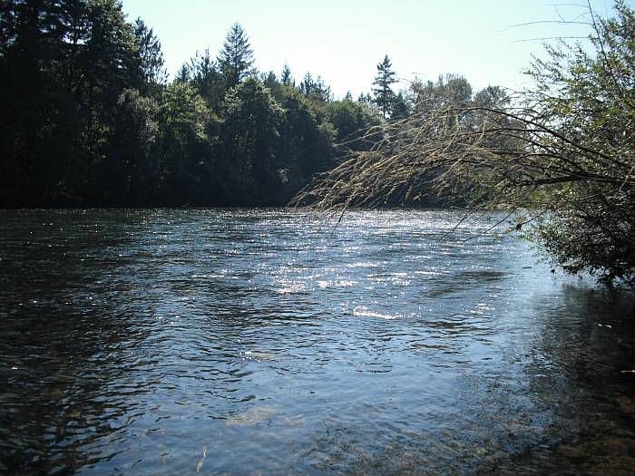 2nd image of 42740 McKenzie Hwy