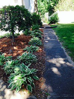 side walk back to yard