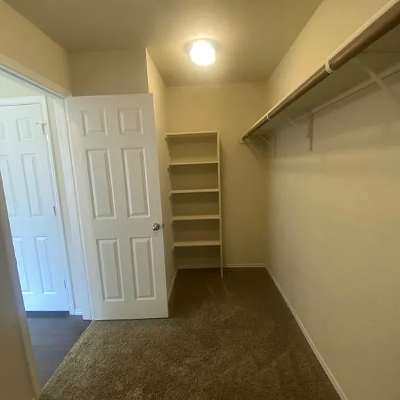 2604 Cortona St — Photo 33
