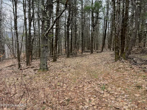 L9 Laura Lane, Middleburgh, NY 12122