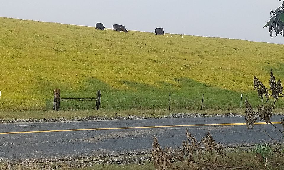 10051 N River Rd, Port Allen, LA 70767 Zillow