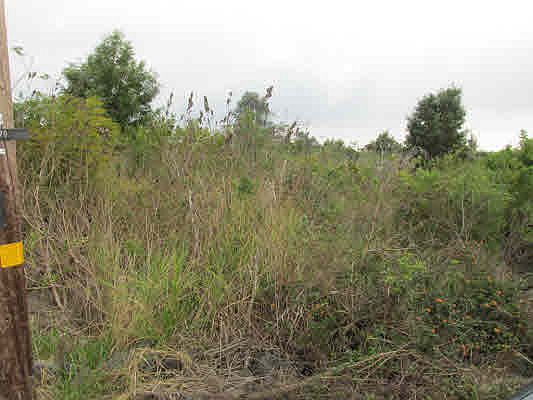 1st image of King Kamehameha Blvd Lot 25