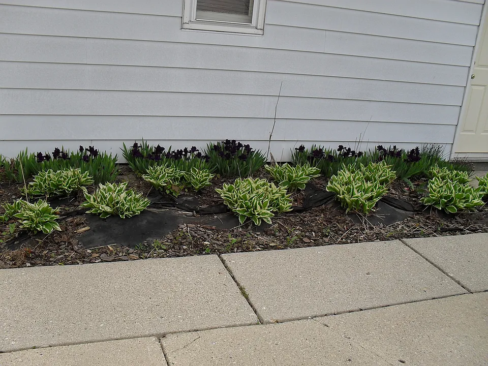 Garden on side of garage