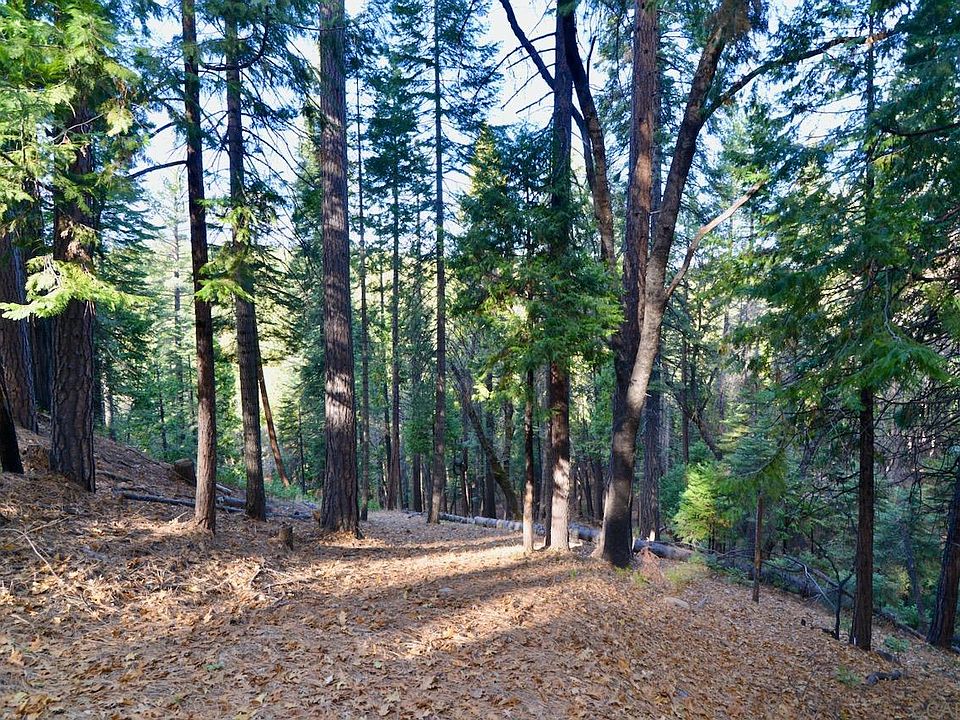 1st image of 1519 Coniferous Dr #349