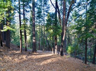 1519 Coniferous Dr #349, Arnold, CA 95223