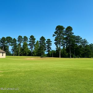 113 Vision Cir, Canton, MS, 39046