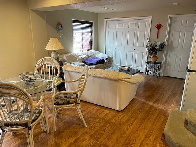 Shared Basement Living Room