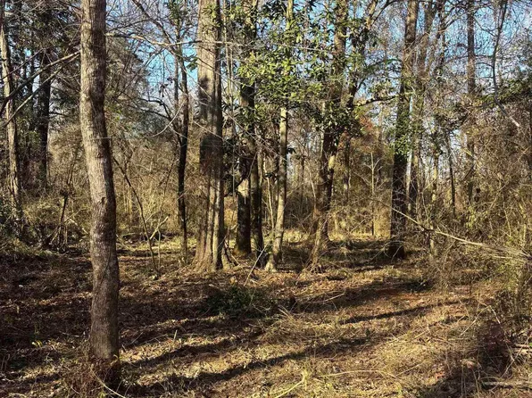 4 State Highway 1032 #A, Denham Springs, LA 70726