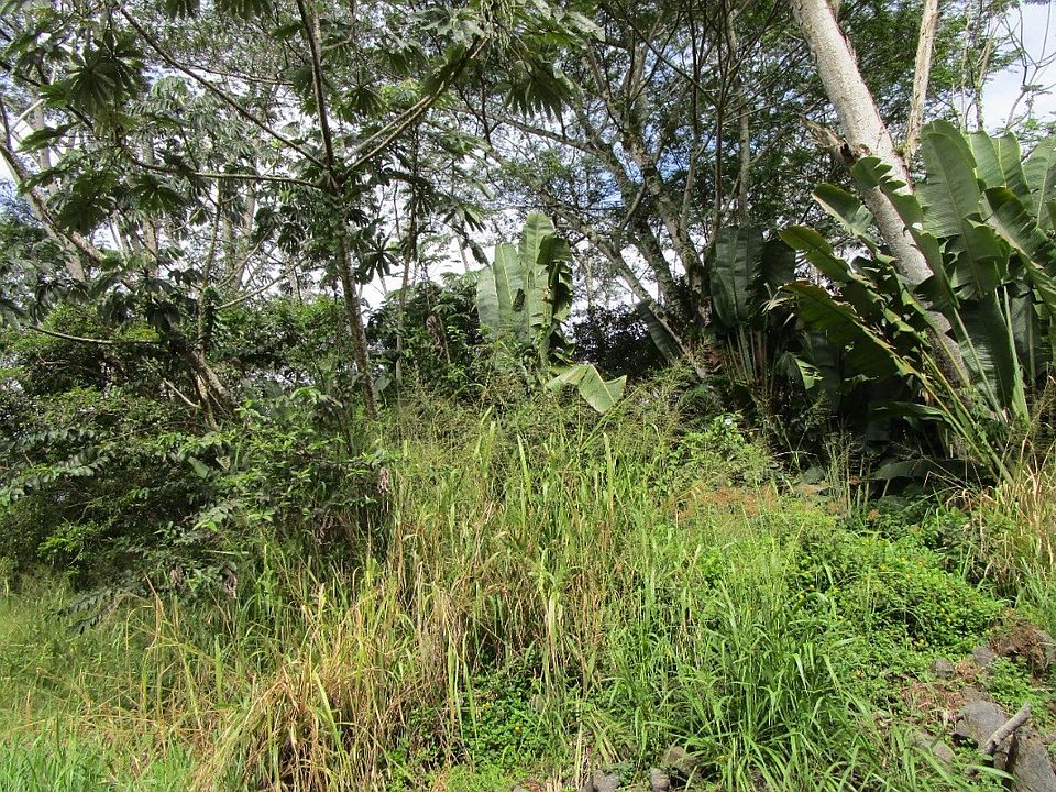 1st image of 12th Ave Lot 669