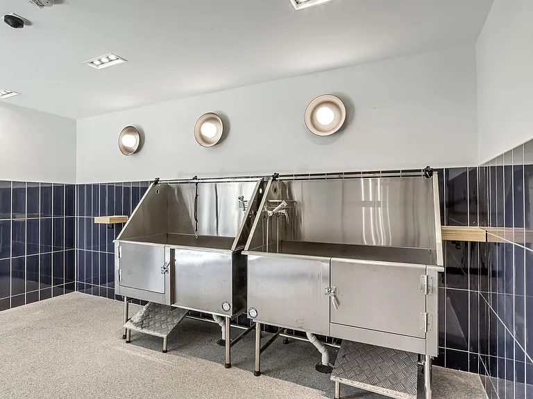 Dog Wash Station