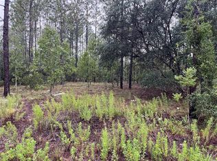 LOT 12 SE 136th Ave LOT 12, Dunnellon, FL 34431