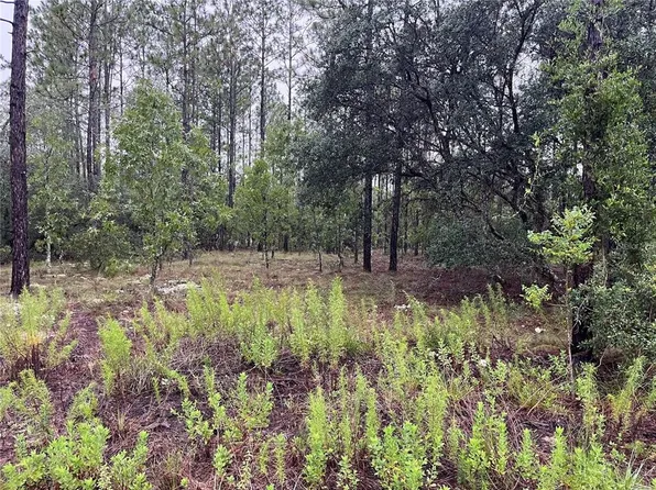 LOT 12 SE 136th Ave Lot 12, Dunnellon, FL 34431