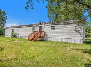 18262 W Kimball Rd, Pierson, MI 49339