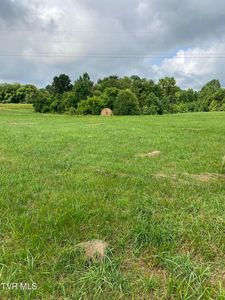 179 Plantation Dr, Rogersville, TN, 37857