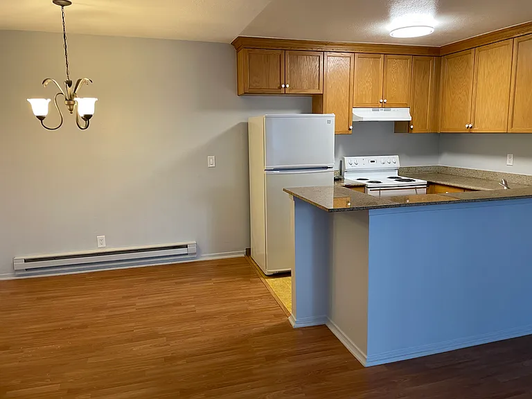 1333 N Camino Alto Rd #248 — Photo 4
