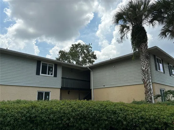 217 Thorn Tree Pl, Brandon, FL 33510