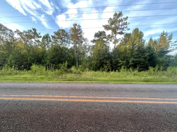 2782 Boxankle Rd, Forsyth, GA 31029