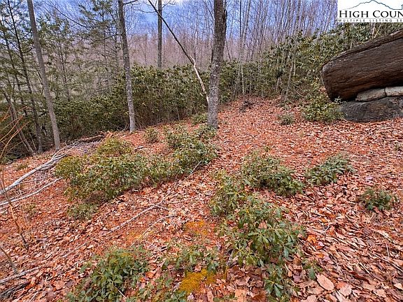 2nd image of Lot 92 Beaver Dam Road